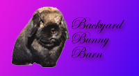 Backyard Bunny Barn